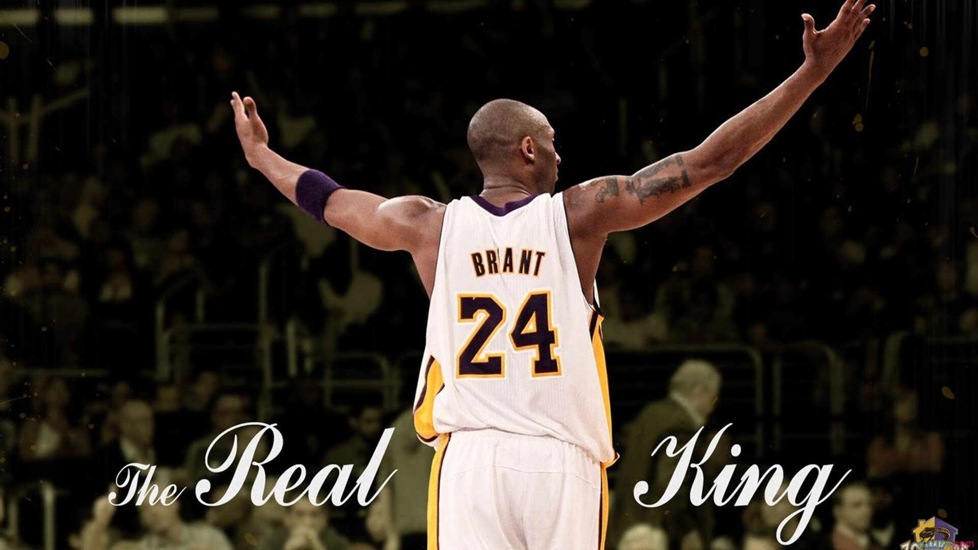 穆古鲁扎新星惊险取胜表现惊艳，DWG未来可期！